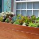 Succulent Planter